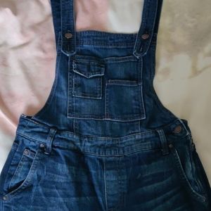 Free people overall sz 25